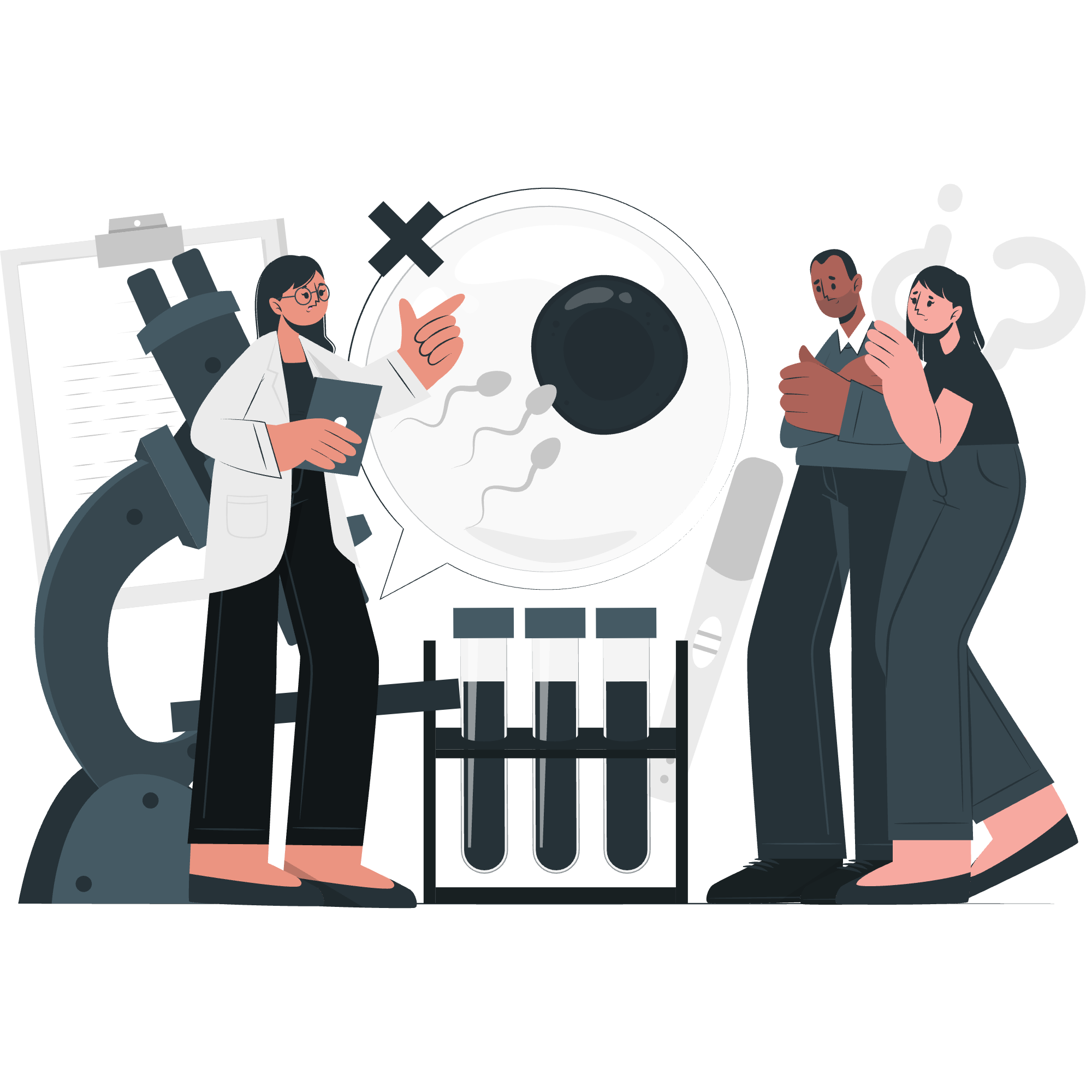 Cursos de Diseño Web Mindblexar